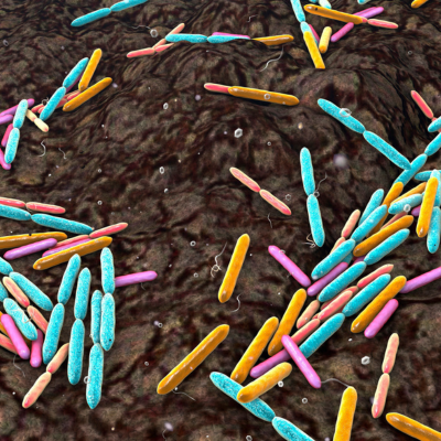 Blog title image showing highlighted soil microbes on a bed of soil 