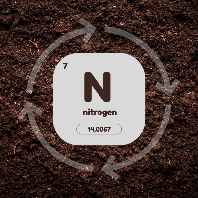 Image of nitrogen being cycled