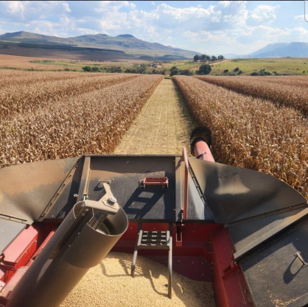 Tractor driving through field with strip cropping