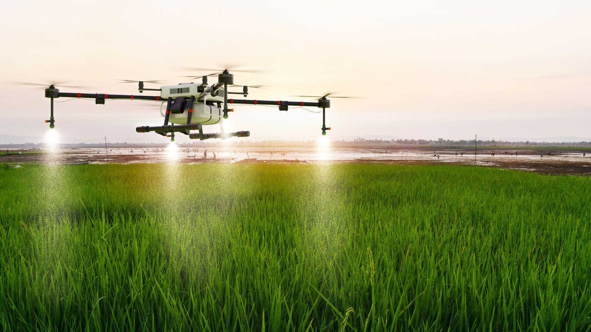 Drone flying over a crop with a setting sun