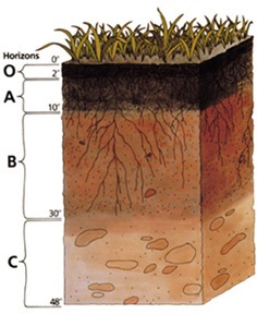 Different layers affected by temperatures