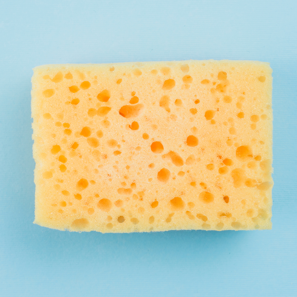 Image of sponge on blue background