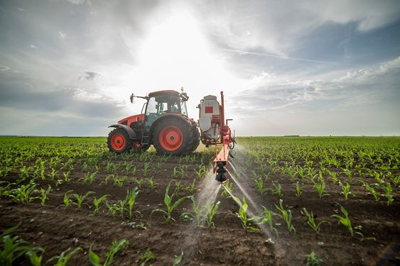 Pesticides being applied to a maize field.